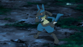 Lucario (de Sacha)