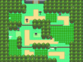 La Route 202 dans Pokémon Platine.