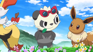 XY104 - Pandespiègle et Évoli de Serena.png