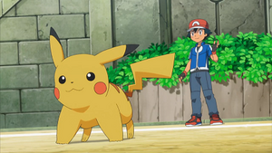 XY138 - Pikachu de Sacha.png