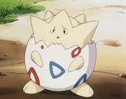 Togepi(d'Ondine)