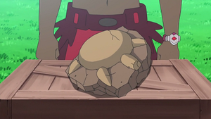 Fossile Crâne - dessin animé.png
