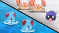 Tentacool, Krabby et Kokiyas (sauvages)