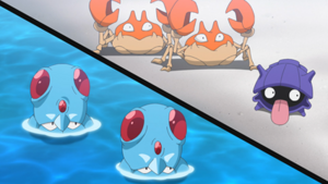 LH006 - Tentacool, Krabby et Kokiyas.png