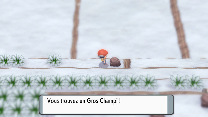 Fichier:Mont Couronné Gros Champi 2 DEPS.png