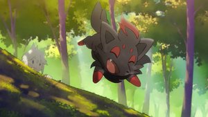 PE04 - Zorua.png