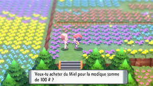 Pré de Floraville Miel 2 DEPS.png