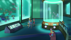 XY022 - Kokiyas.png