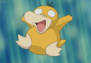 Psykokwak(d'Ondine)