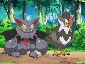 DP119 - Scorvol et Étouraptor de Sacha.png