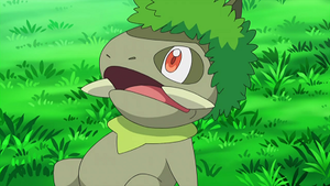 NB066 - Coupenotte d'Iris.png