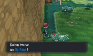 Route 19 Os Rare XY.png