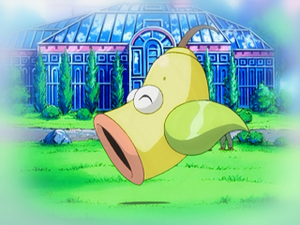 AG147 - Boustiflor (Flash-back).png
