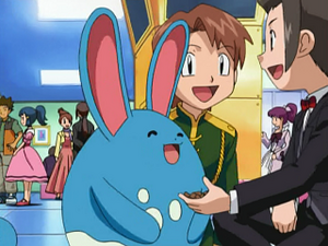 DP012 - Azumarill d'un Dresseur.png