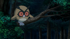 LV137 - Hoothoot.png