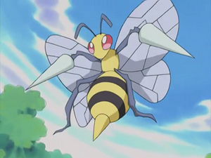 Pokémon Chronicles 12 - Dardargnan de Jimmy.png