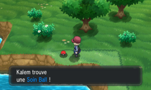 Route 7 Soin Ball XY.png