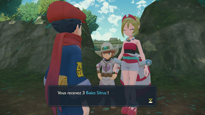 Fichier:Arène du Grand Arbre Baie Sitrus LPA.png
