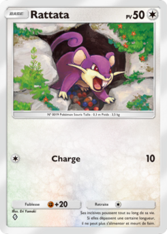 Rattata (Réjouissances Rayonnantes 058)