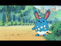 Azumarill (sauvage)