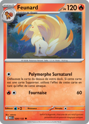 Carte Méga-Évolution 020.png