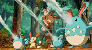 Film 9 Azurill, Marill et Azumarill.png