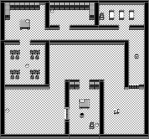 Manoir Pokémon (Kanto) ss RBJ.png