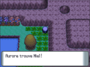 Route 205 Miel PT.png