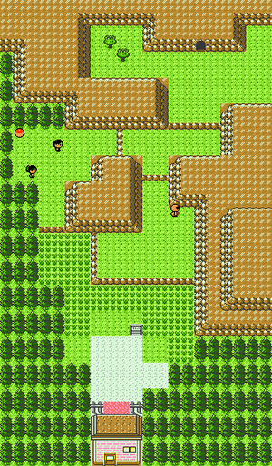 Route 46.png