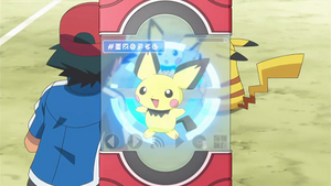 XY016 - Pichu Pokédex.png