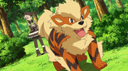 Arcanin(de Viviane)