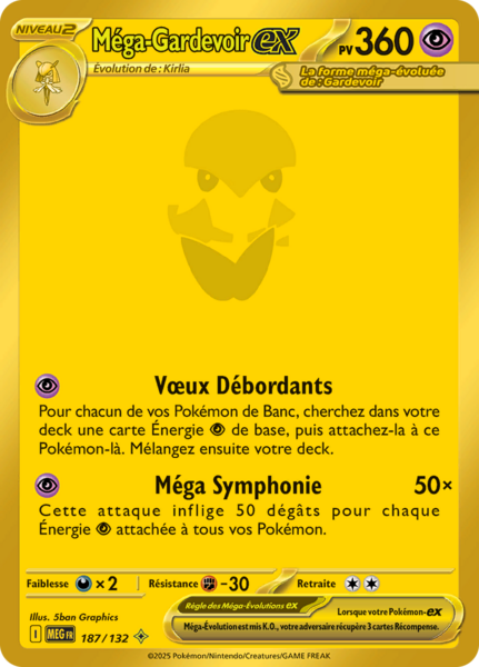 Fichier:Carte Méga-Évolution 187.png