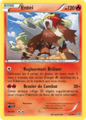 Carte Entei