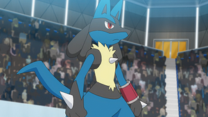 LV025 - Lucario de Cornélia.png