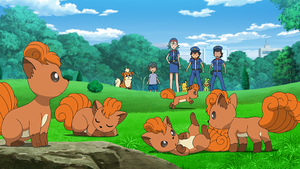 LV067 - Goupix.png
