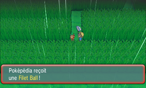 Route 120 Filet Ball ROSA.png