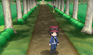 Route 6 allée centrale XY.png