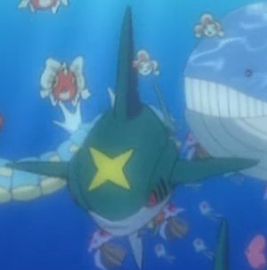 Sharpedo XY001.png