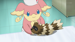 XY096 - Zigzaton.png