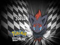 C'est Zorua !