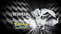 C'est Reshiram !