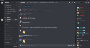 Exemple Discord.png