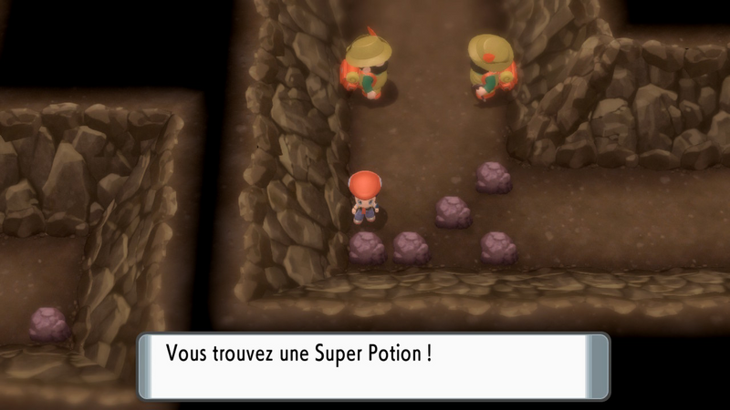 Fichier:Grotte des Égarés Super Potion DEPS.png