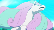 Galopa de Galar(sauvage)