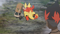 Magmar (des Montagnards)