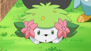 Shaymin animé.png