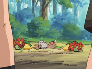 AG154 - Joliflor et Pifeuil.png