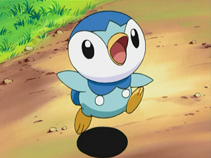DP006 - Tiplouf d'Aurore.png