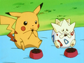 Pikachu (de Sacha) et Togepi (d'Ondine)