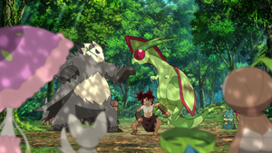 Pandarbare sauvage - Film 23.png